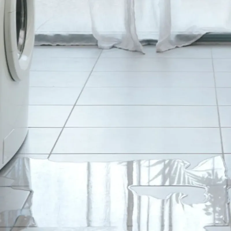 Appliance Leak Cleanup in Belvedere, SC