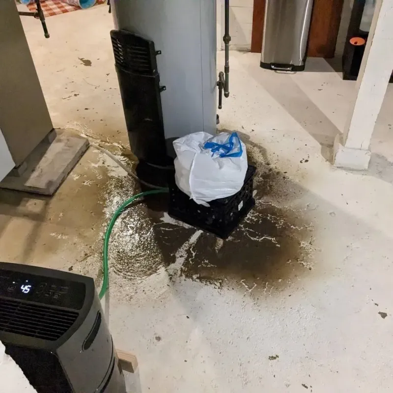Sewage Backup Cleanup Service in Belvedere, SC
